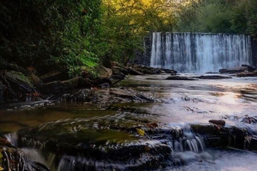 Vickery Falls Self Guided Slingshot Tour