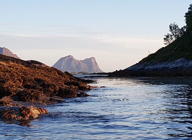 Tromso: Fjord Arctic Adventure Expedition