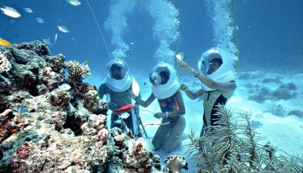 Phu Quoc Seawalker Experience Coral Park Exploration Marine Life Adventure