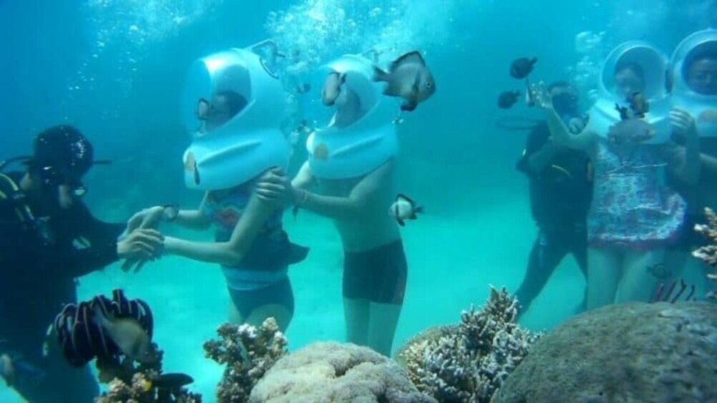 Phu Quoc Seawalker Experience Coral Park Exploration Marine Life Adventure