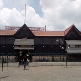 Private city tour in the historic center of Manaus