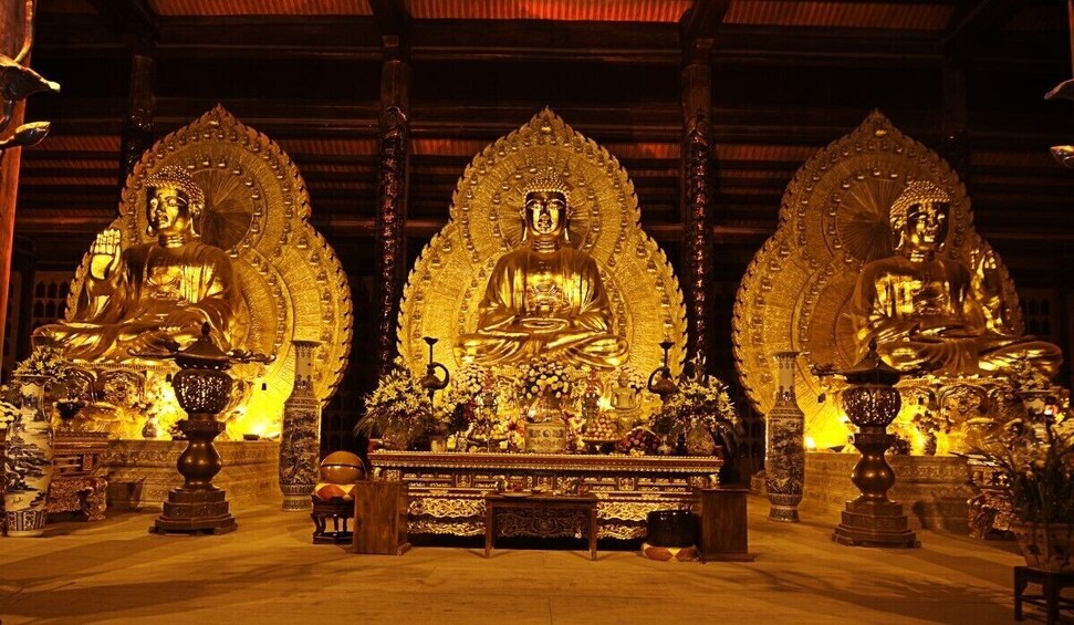 Luxury Bai Dinh Pagoda and Trang An Small Group Day Tour by Limousine