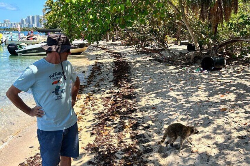 Raccoon Island Boat Tour