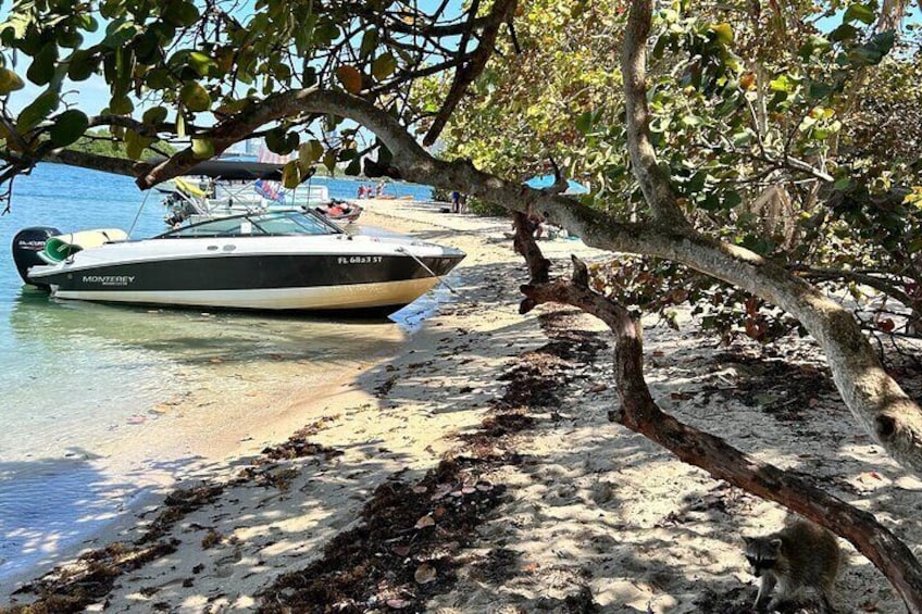 Raccoon Island Boat Tour