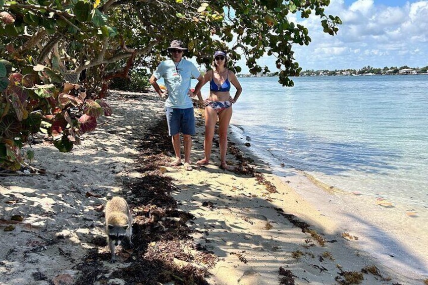 Raccoon Island Boat Tour