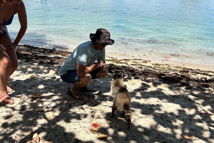 Raccoon Island Boat Tour