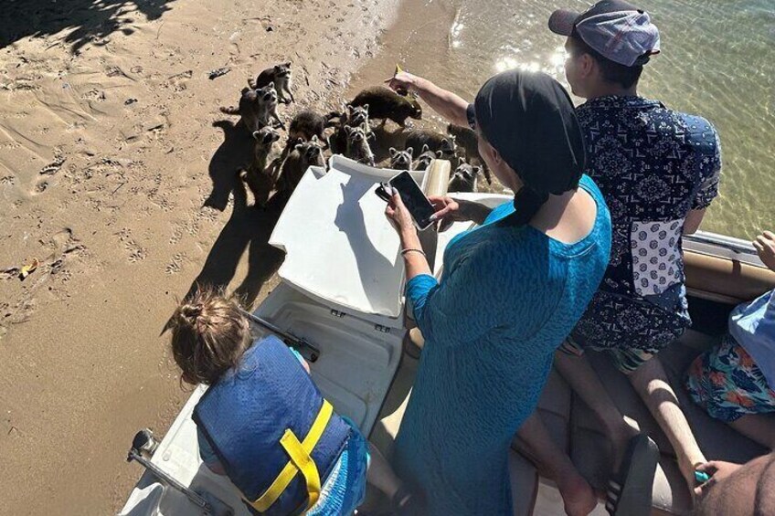 Raccoon Island Boat Tour