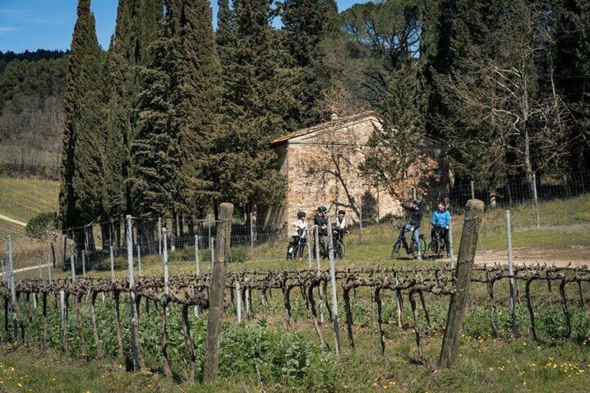 Chianti Classico E-bike Adventure with WineTastings and Lunch