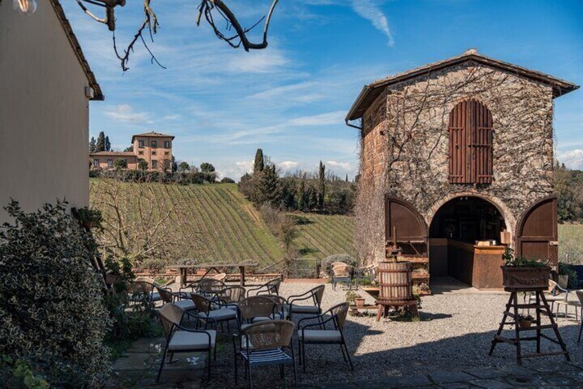 Chianti Classico E-bike Adventure with WineTastings and Lunch