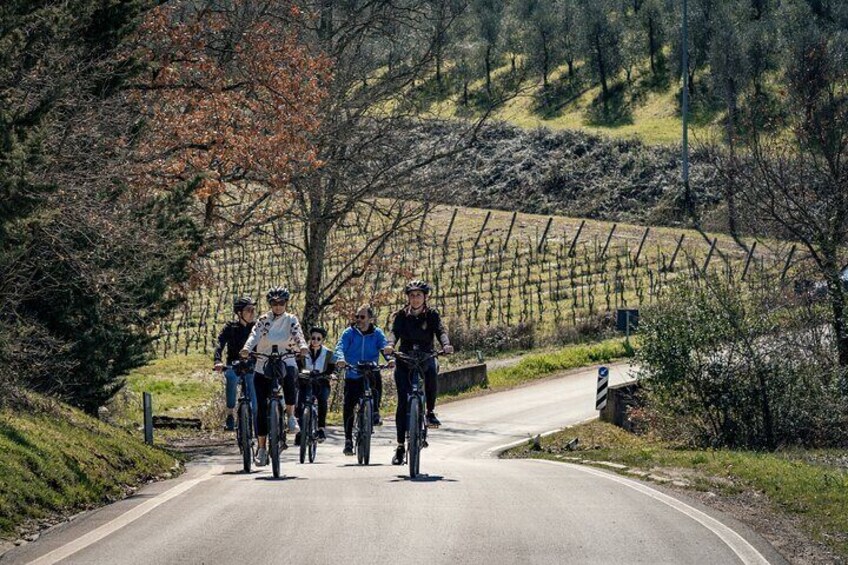 Chianti Classico E-bike Adventure with WineTastings and Lunch