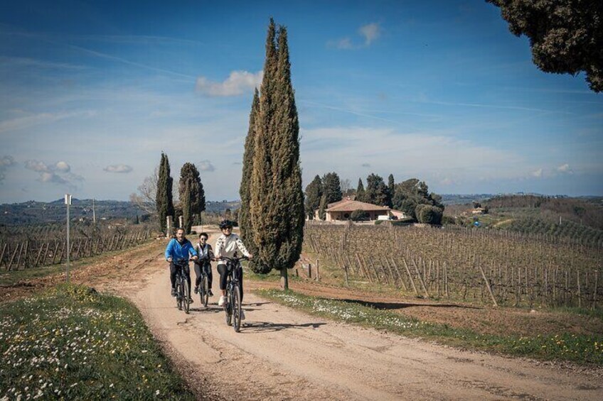 Chianti Classico E-bike Adventure with WineTastings and Lunch