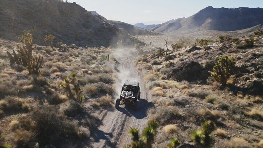 The beauty of the Mojave Desert
