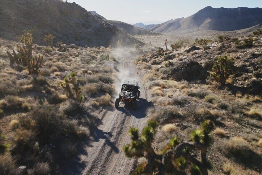 The beauty of the Mojave Desert