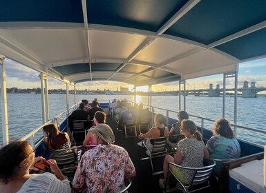 St. Augustine: Sunset Boat Tour to Dolphin Bay