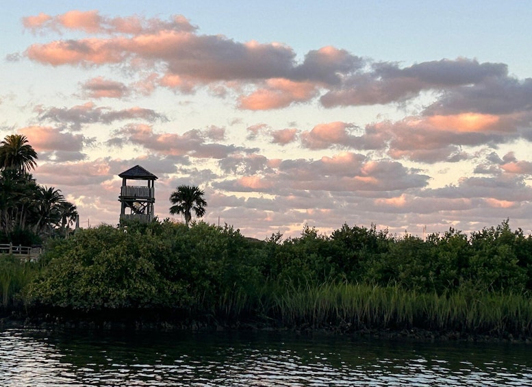 Picture 2 for Activity St. Augustine: Sunset Boat Tour to Dolphin Bay