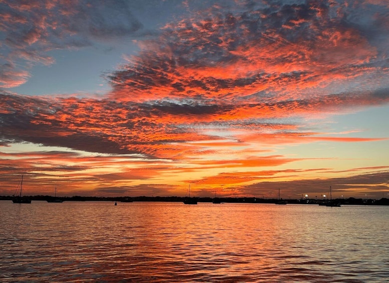 Picture 4 for Activity St. Augustine: Sunset Boat Tour to Dolphin Bay