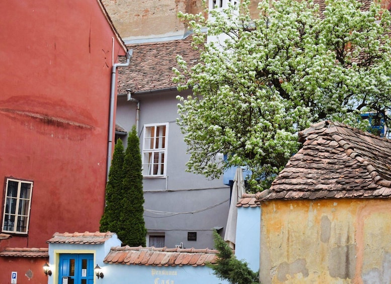 Picture 12 for Activity Sighisoara, UNESCO & wine tasting (from Cluj)