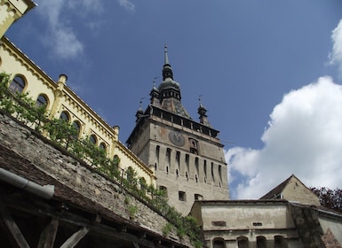 Sighisoara & Biertan tour (from Cluj-Napoca)