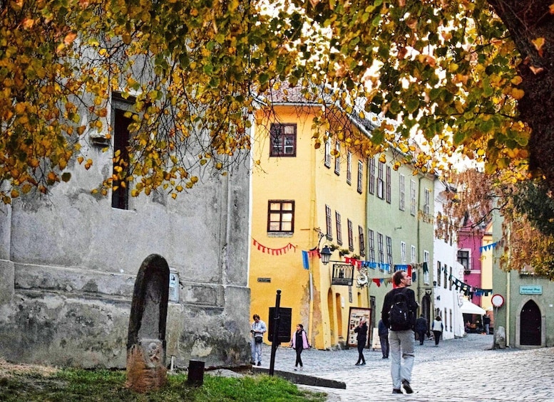 Picture 17 for Activity Sighisoara, UNESCO & wine tasting (from Cluj)