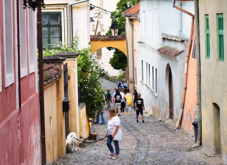 Picture 14 for Activity Sighisoara, UNESCO & wine tasting (from Cluj)