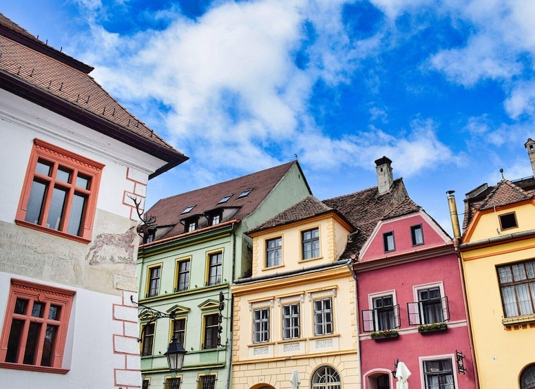Picture 2 for Activity Sighisoara, UNESCO & wine tasting (from Cluj)