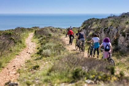 30km E-Bike tour - De Verudela, Pula au Cap Kamenjak