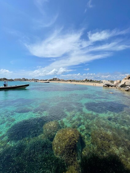 Picture 10 for Activity Bonifacio: Isola Piana and Lavezzi Tour
