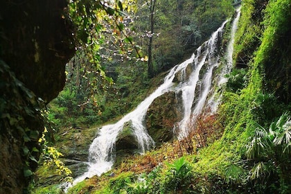 Milan: Liten grupptur till Bellagio, Hidden Gorge, Lecco, kryssning