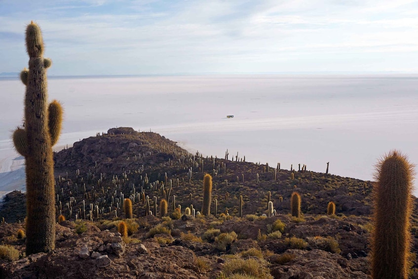 Picture 3 for Activity Uyuni Salt Flat Excursion | Full Day + Lunch |