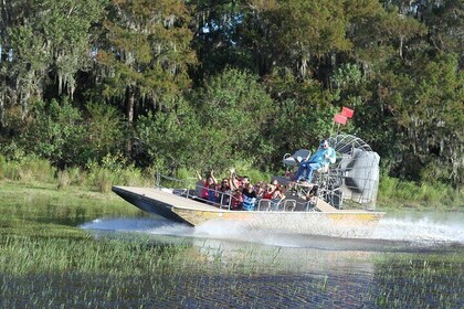 30-Minute Airboat Ride, Gem Mining, Park Admission and Roundtrip Transporta...