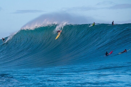 Learn to surf with a local big wave rider on the North Shore of Oahu