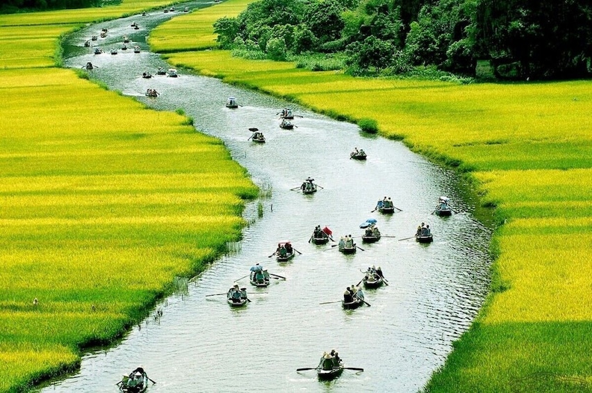 Hanoi to Ninh Binh Luxury Small Group Day Tour with Hoa Lu Tam Coc Cyclin