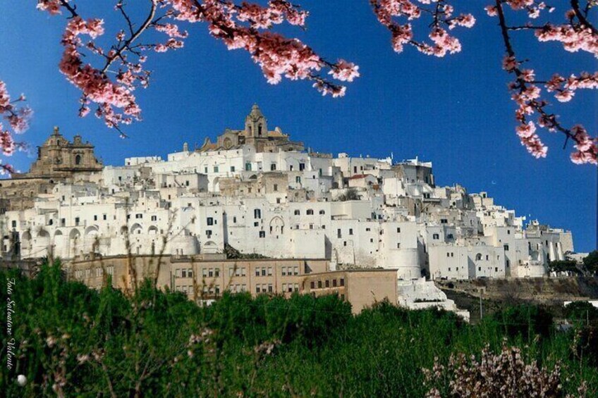 Private Tour to Ostuni,Alberobello,Locorotondo with Wine Tasting