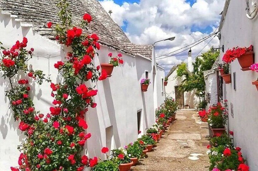 Private Tour to Ostuni,Alberobello,Locorotondo with Wine Tasting