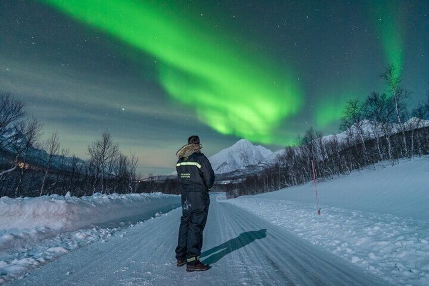 Northern Lights Hunt with The Green Adventure- max 8 people, photos included