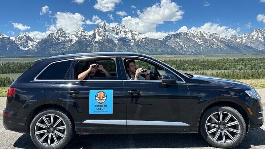 Scanning for Wildlife in Luxury Vehicle
