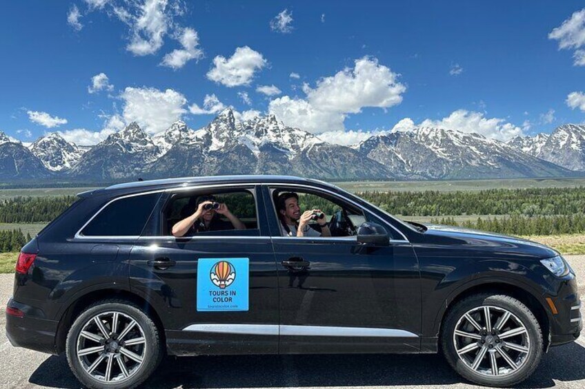 Scanning for Wildlife in Luxury Vehicle
