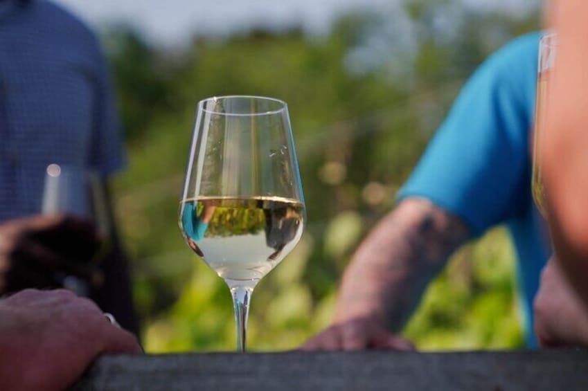Wine Tasting in the Vineyard