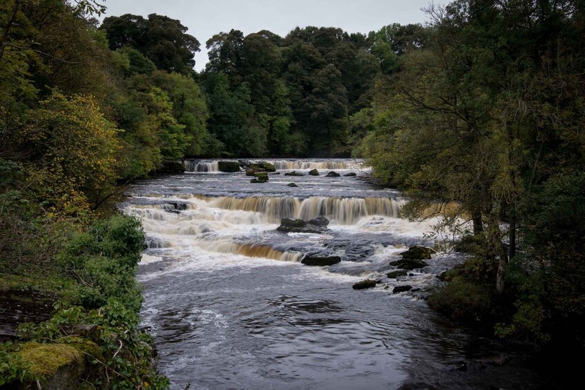 Picture 5 for Activity From Lake District: Full-Day Yorkshire Dales Tour