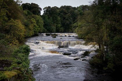 From Lake District: Full-Day Yorkshire Dales Tour