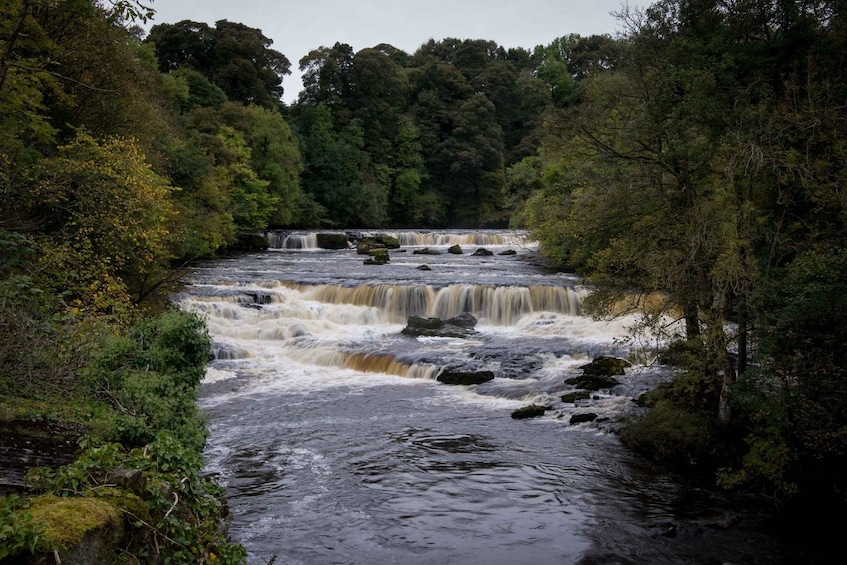 Picture 5 for Activity From Lake District: Full-Day Yorkshire Dales Tour