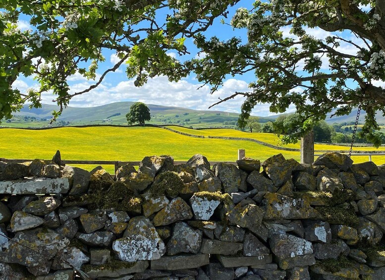 Picture 7 for Activity From Lake District: Full-Day Yorkshire Dales Tour