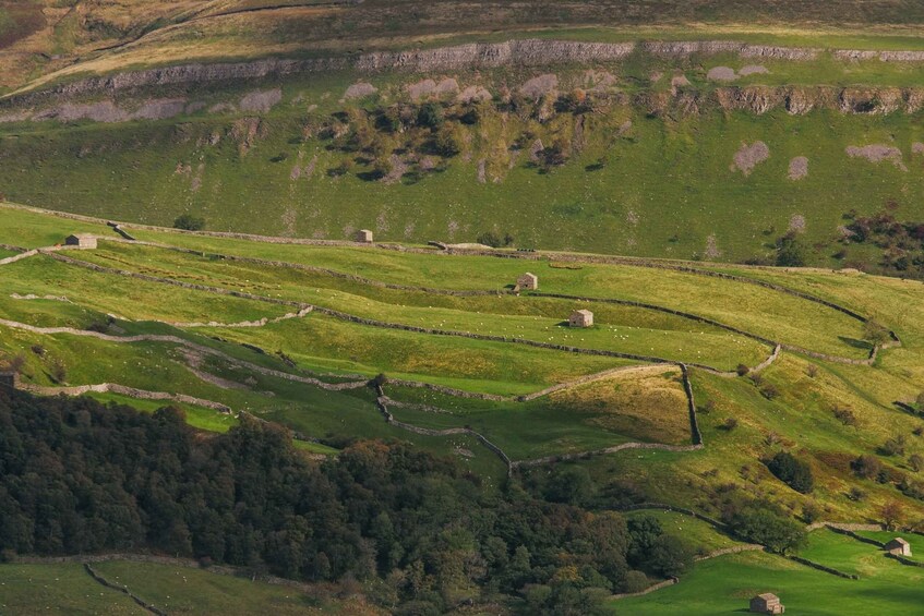 Picture 4 for Activity From Lake District: Full-Day Yorkshire Dales Tour