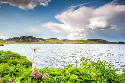 Akureyri Hafen: See Mývatn & Goðafoss Geführte Tour mit Mittagessen
