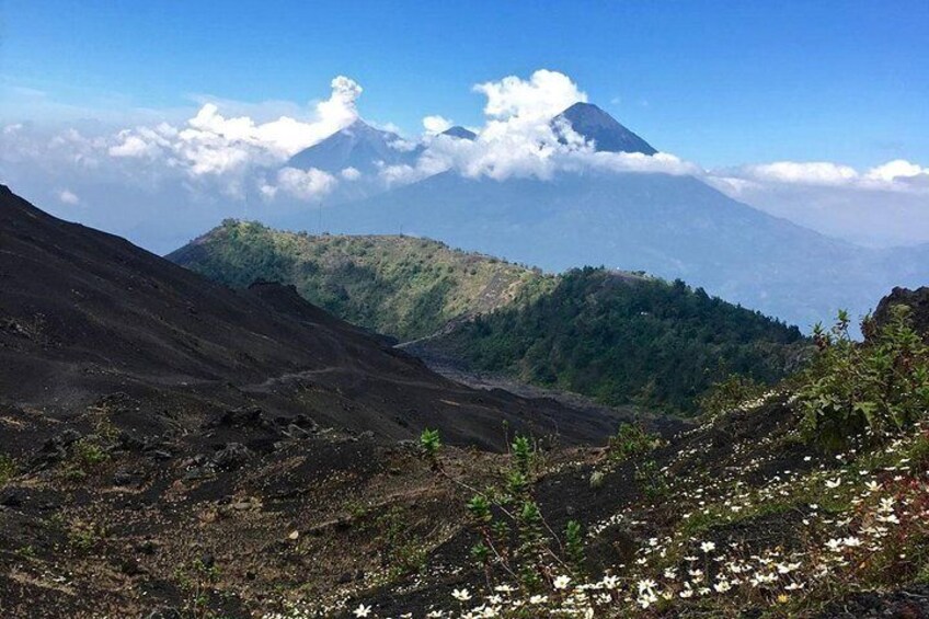 Pacaya Volcano Hike