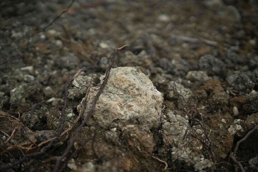 Terroir