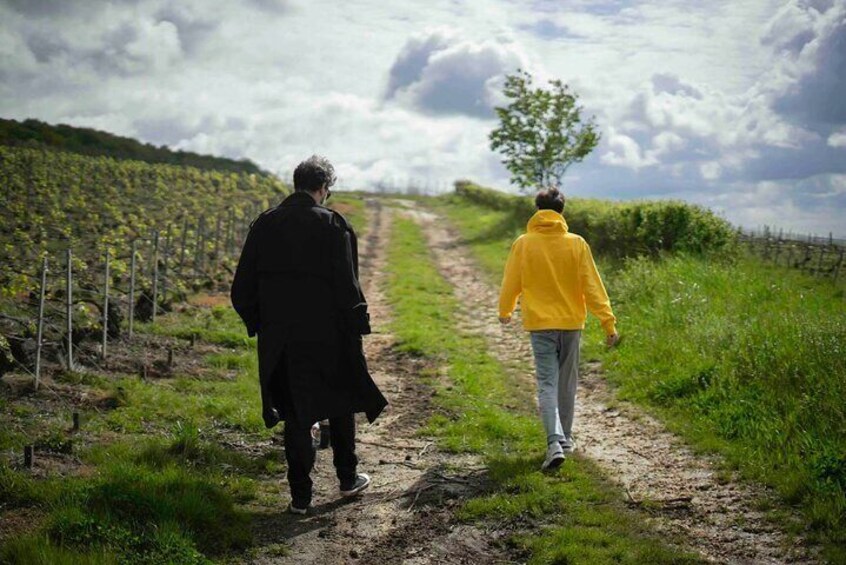 Walking through the Champagne fields