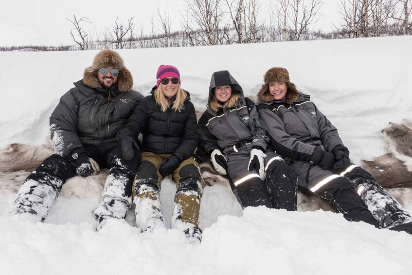 Picture 3 for Activity Abisko: Wilderness Snowshoe Hike