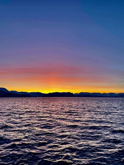 Picture 5 for Activity Tromsø: Midnight Cruise