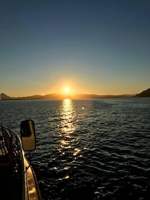 Tromsø: Midnight Cruise